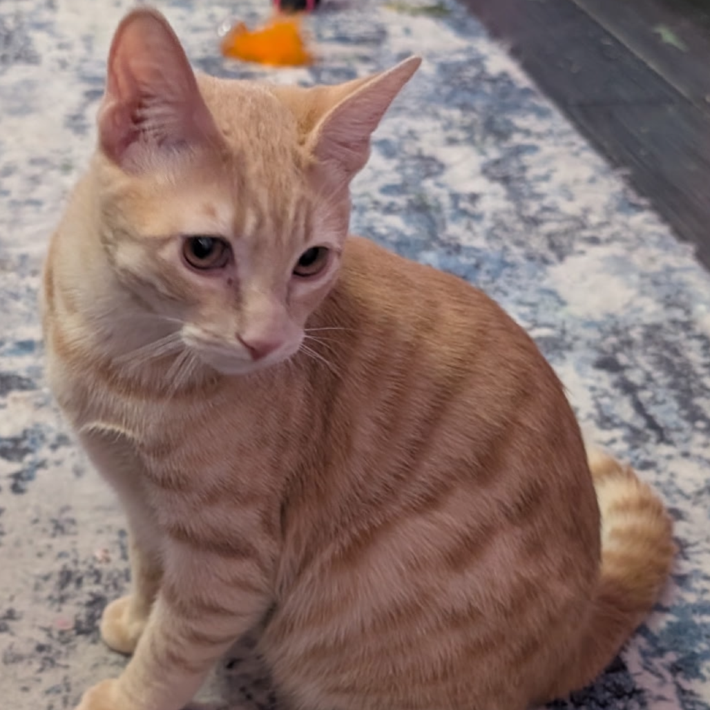 Titan