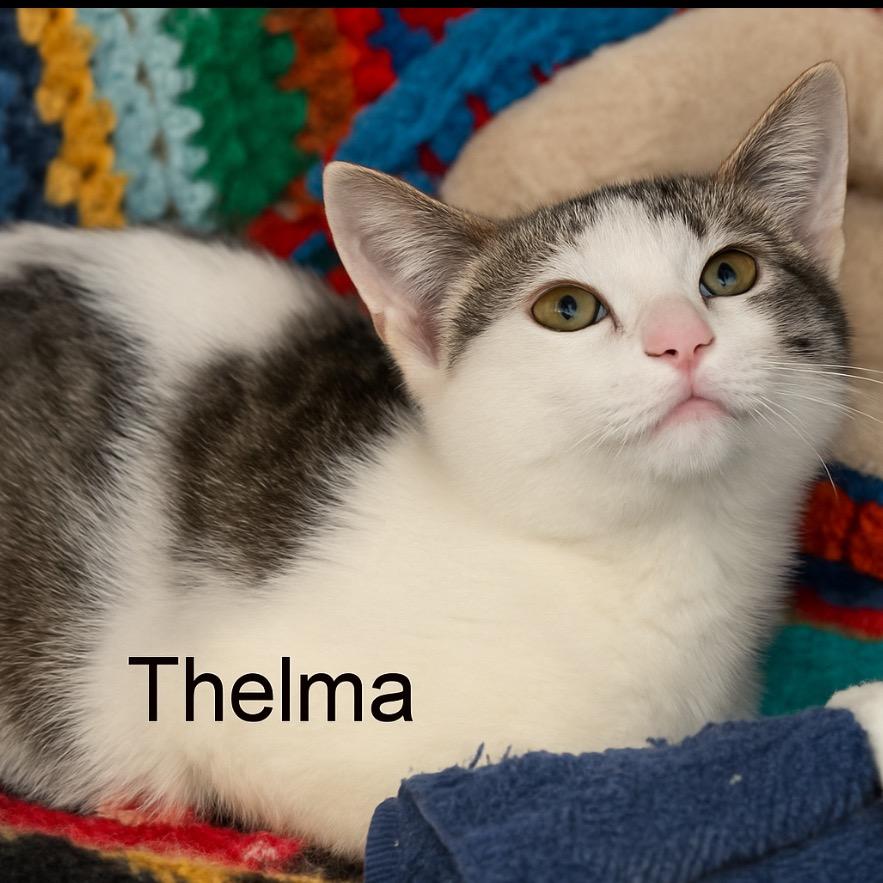 Thelma