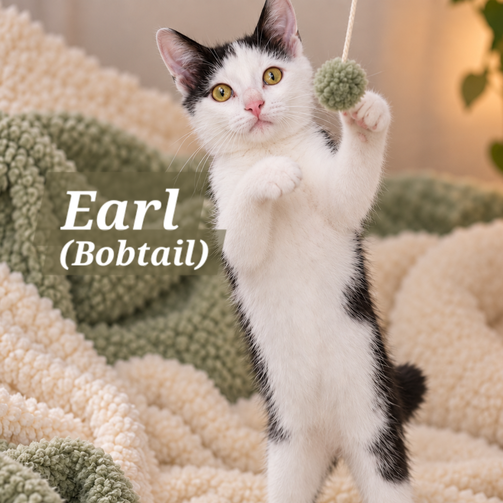 Earl Devereaux