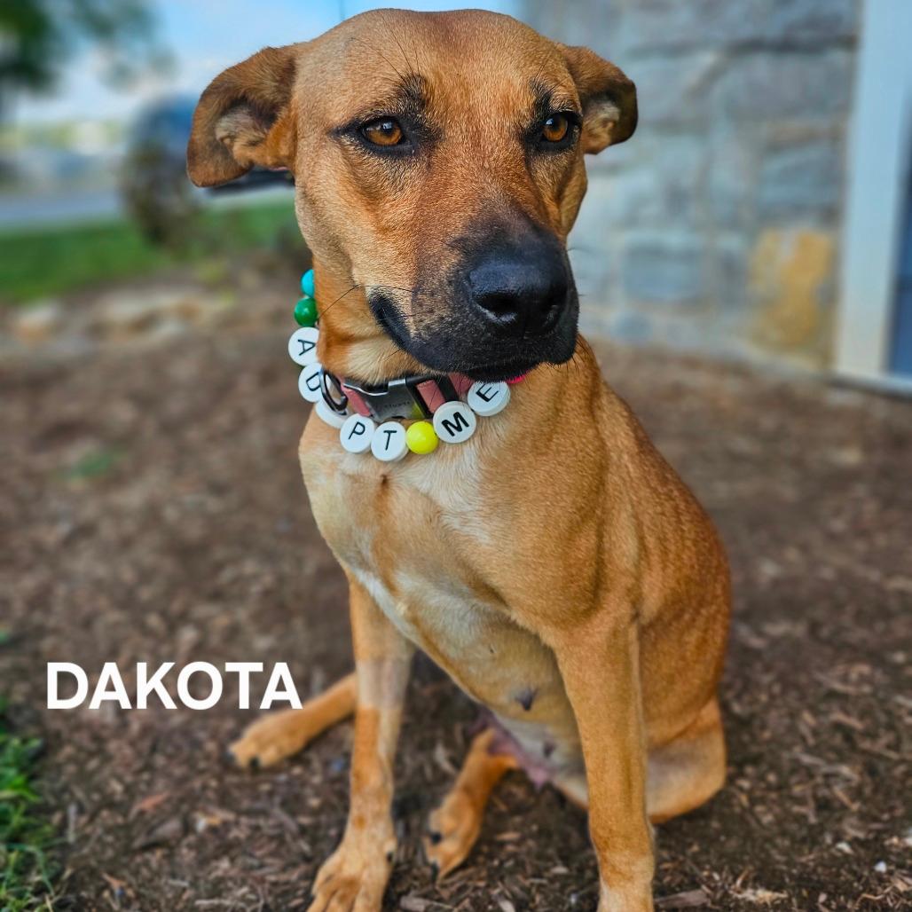 Dakota