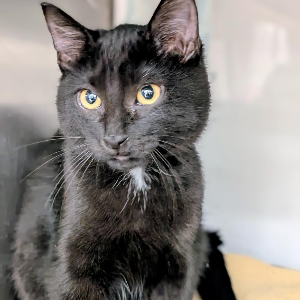 Cindy *Meet me at Chanhassen Chuck & Dons*