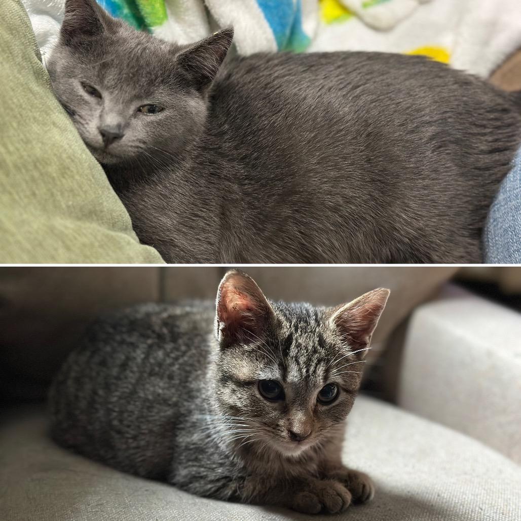 Mila & Ra-lee