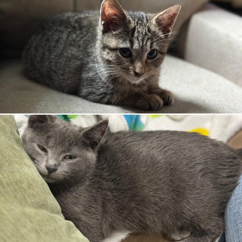 Ra-lee & Mila