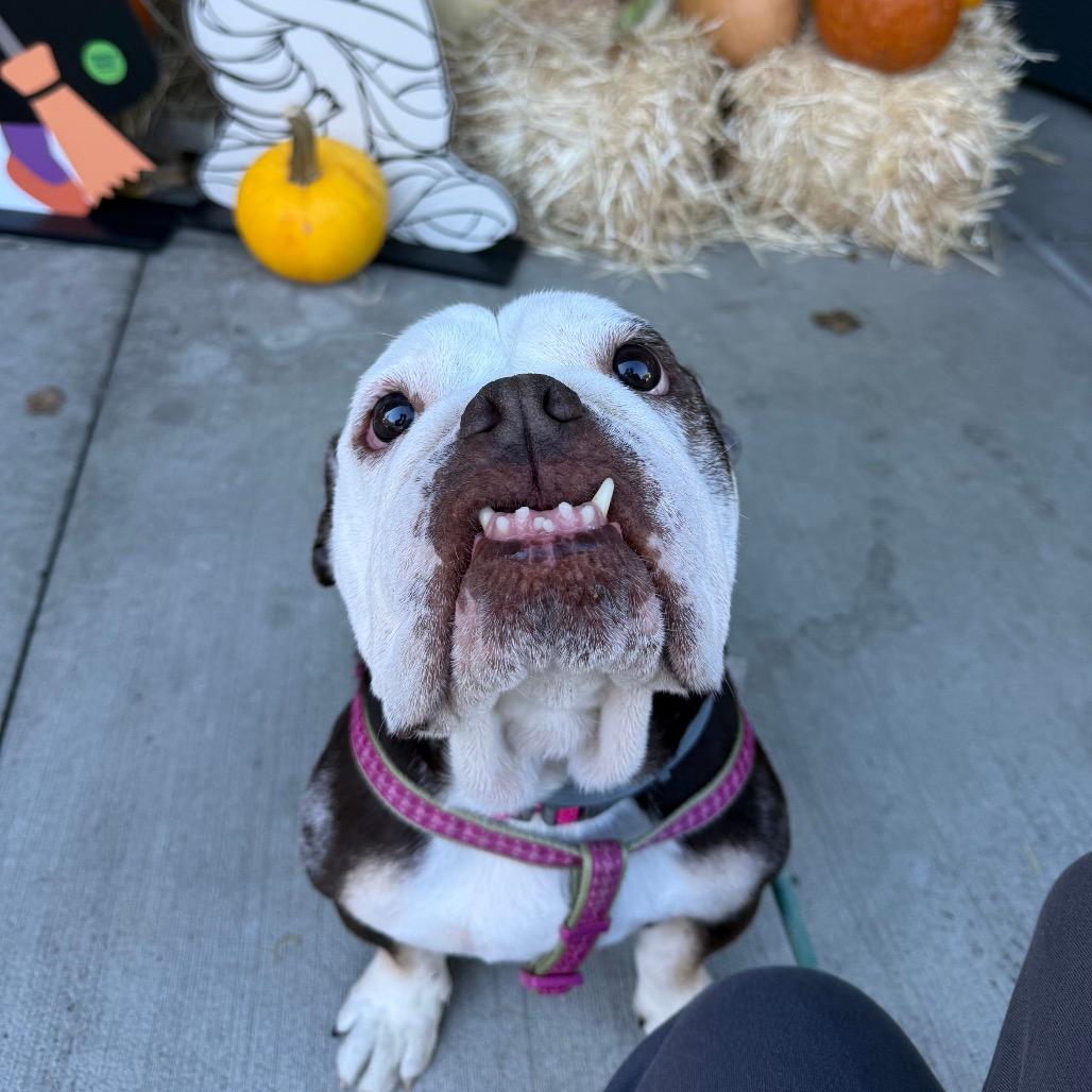 Coco Chanel