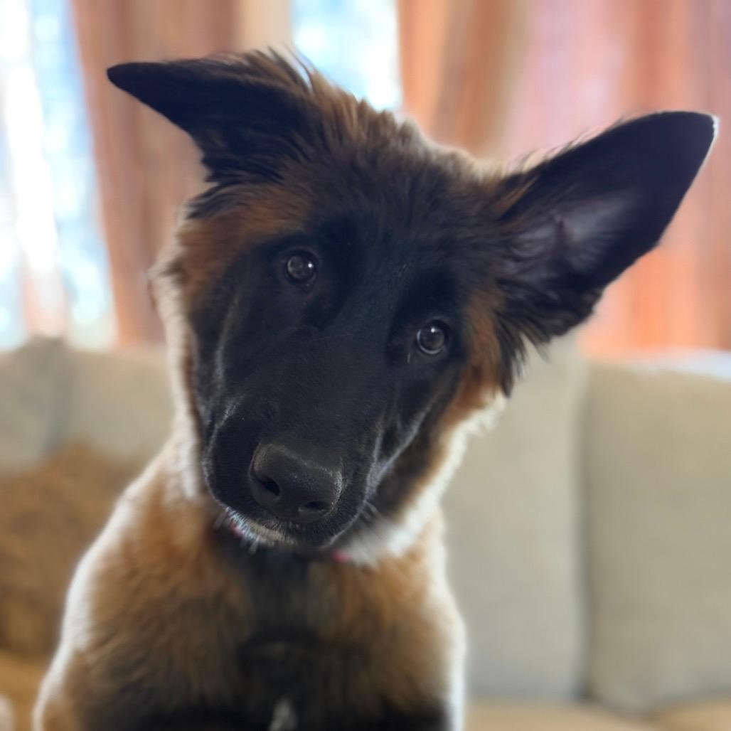 Zoey