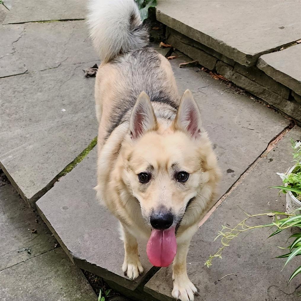 Max