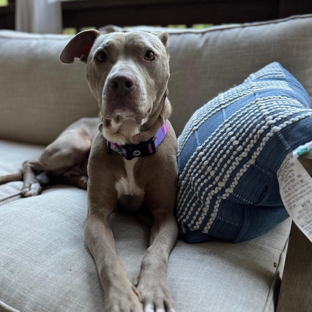 Penny