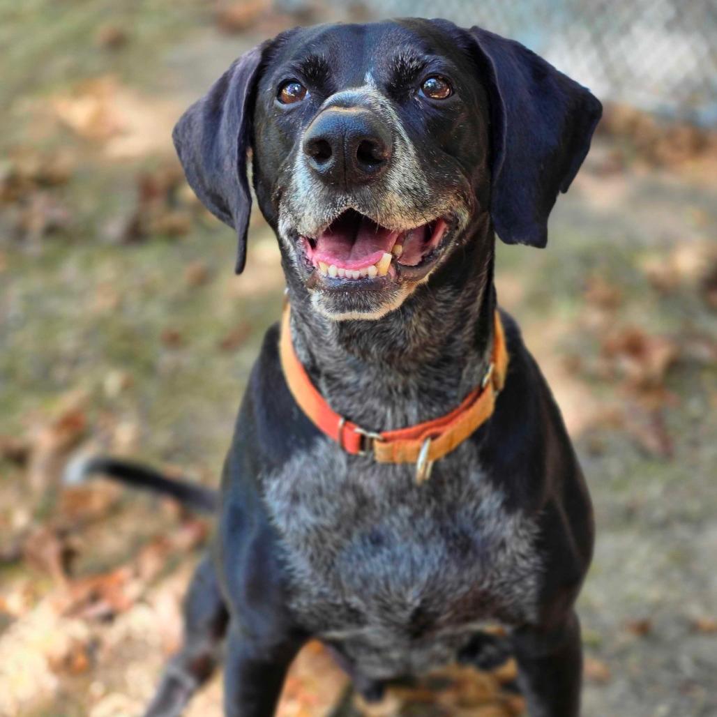 Ranger
