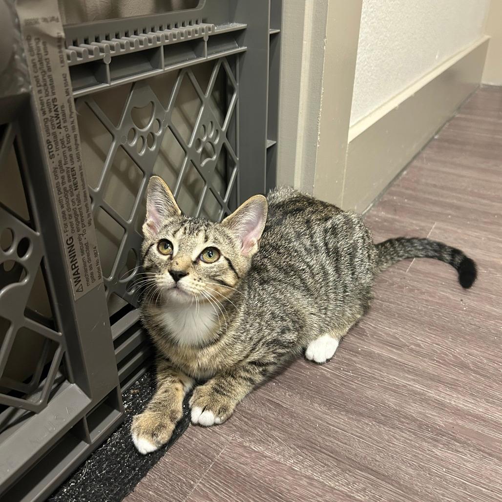 Delilah