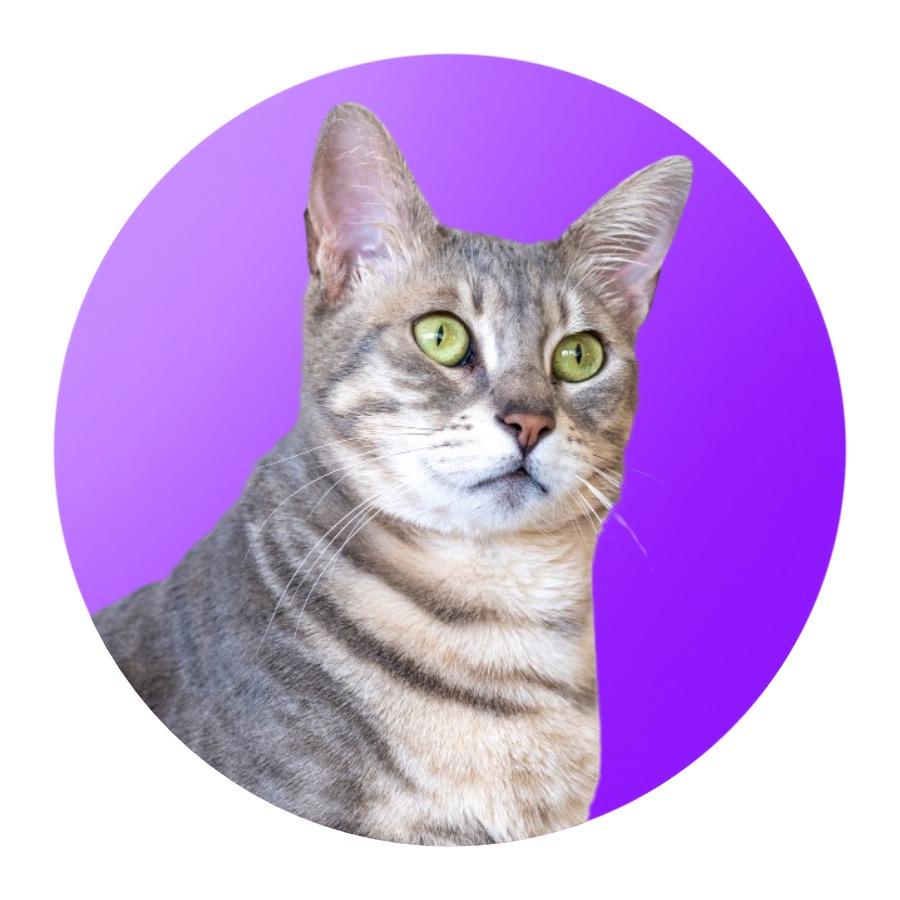 Fig