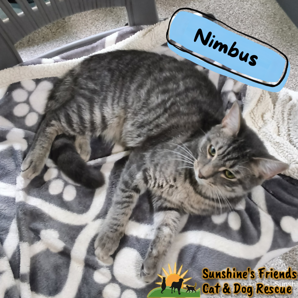 Nimbus