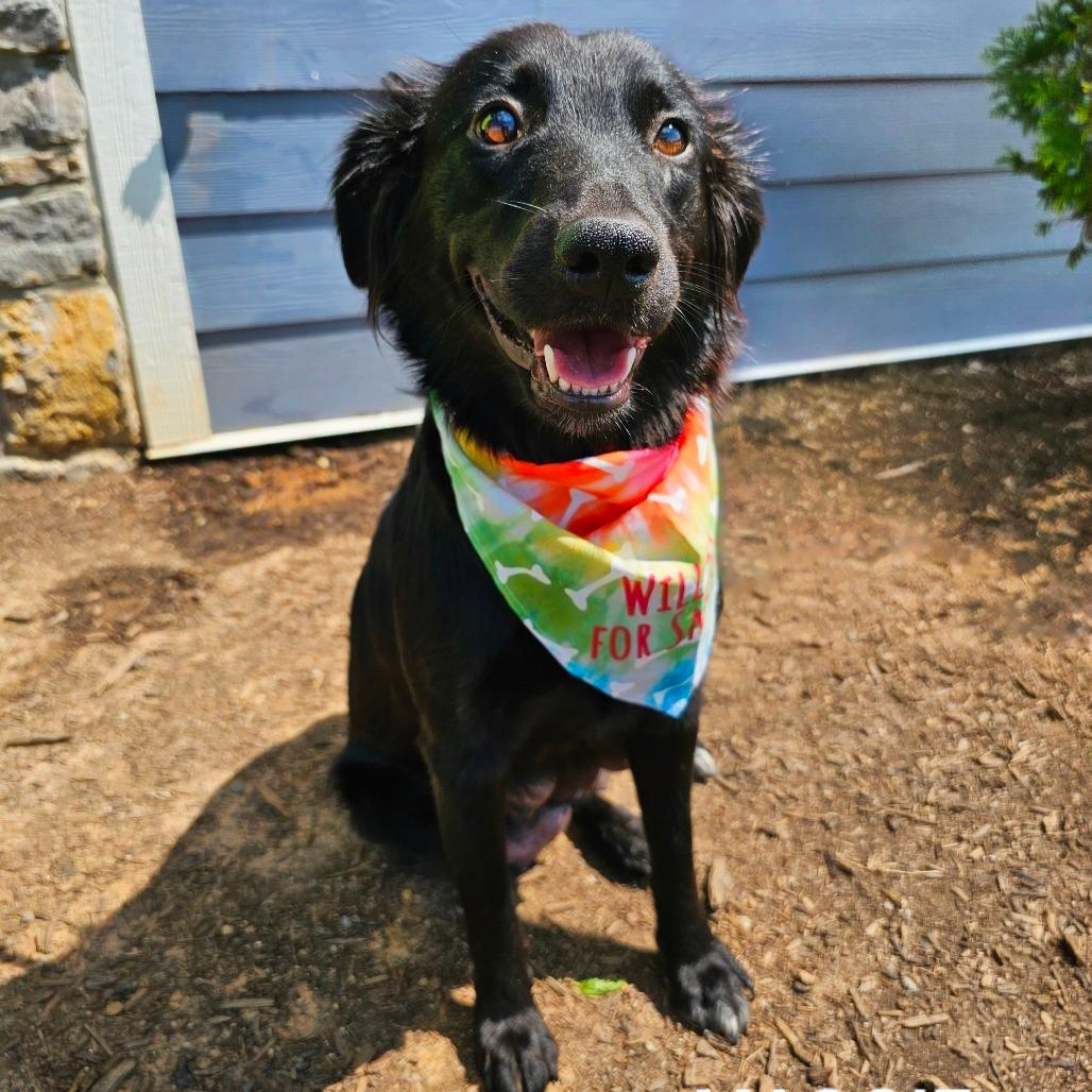 Maggie