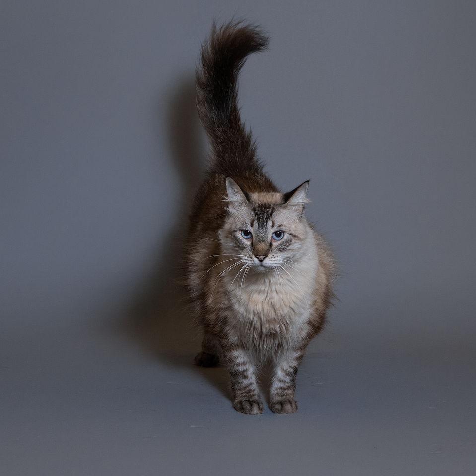 Micah