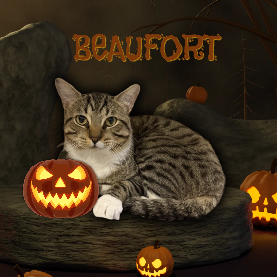 Beaufort