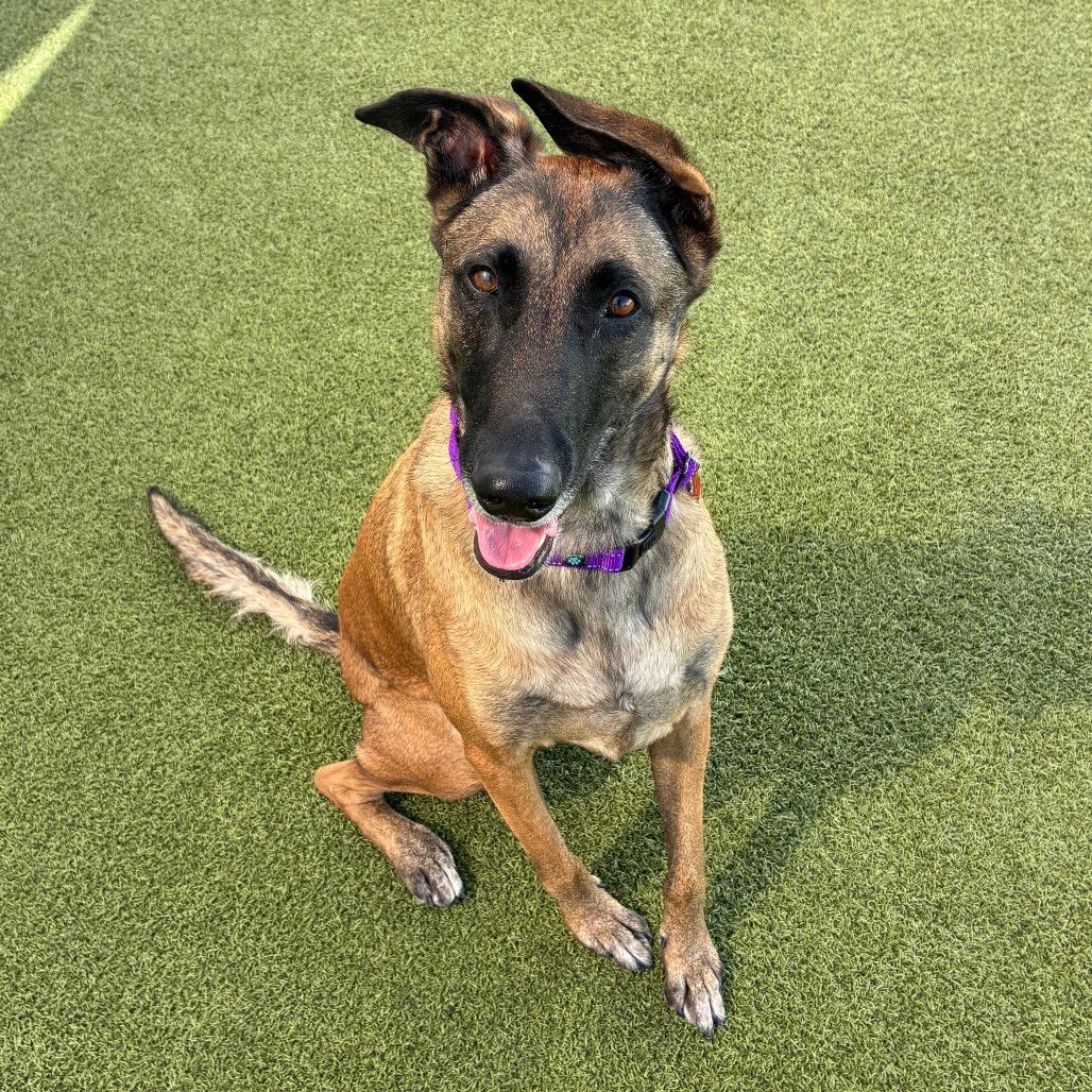 Allie Mae