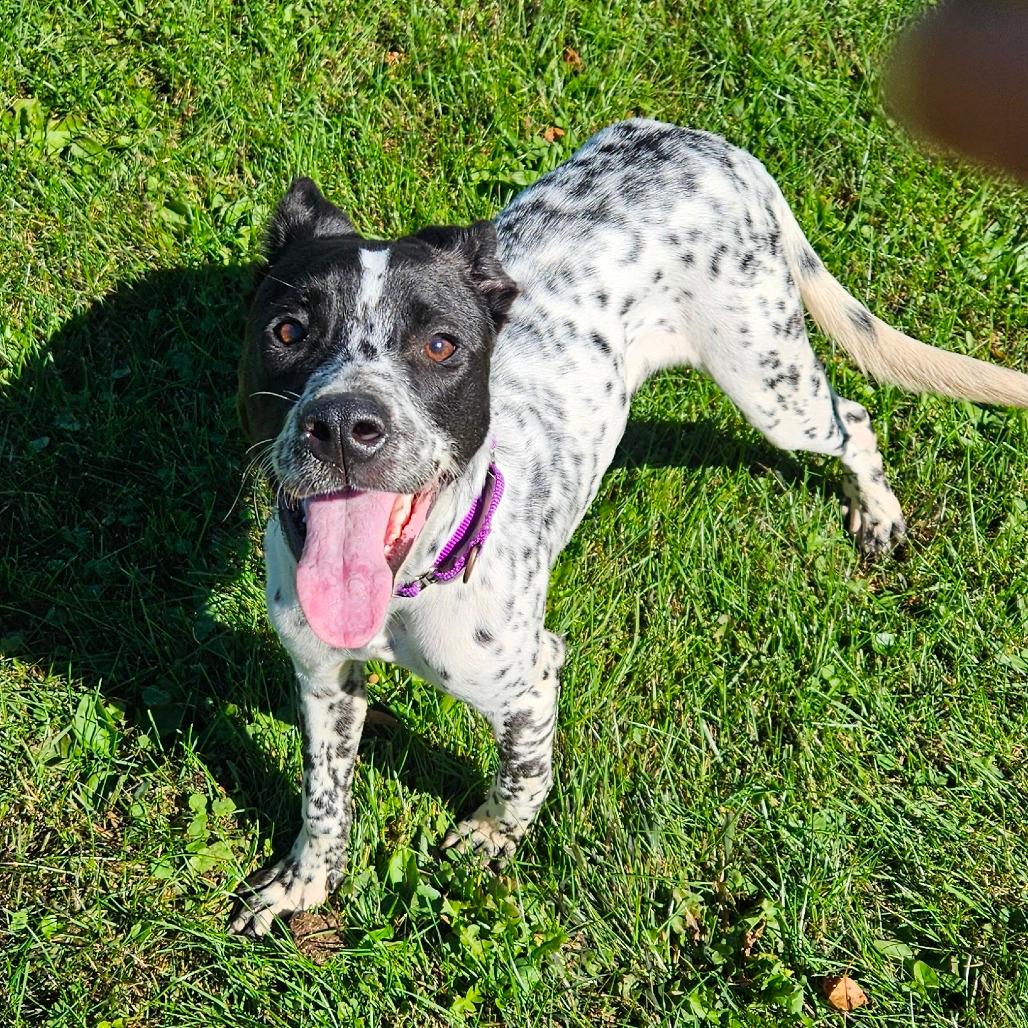 Coco