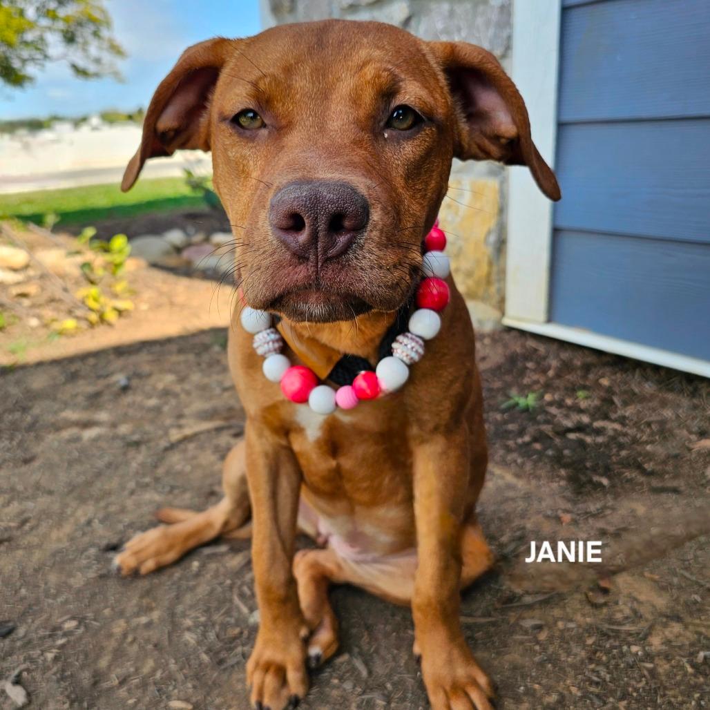 Janie