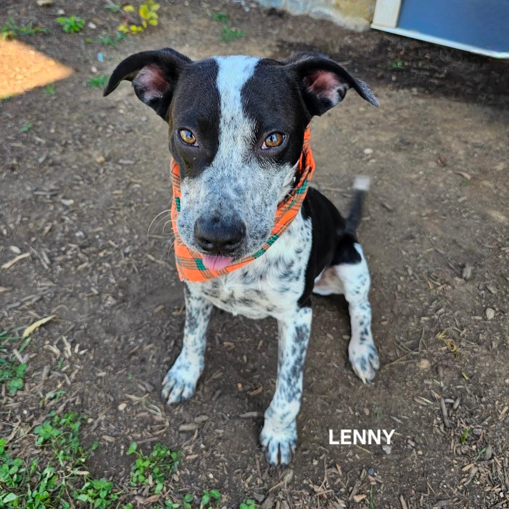 Lenny