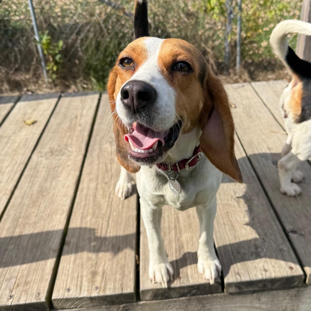 Ethel