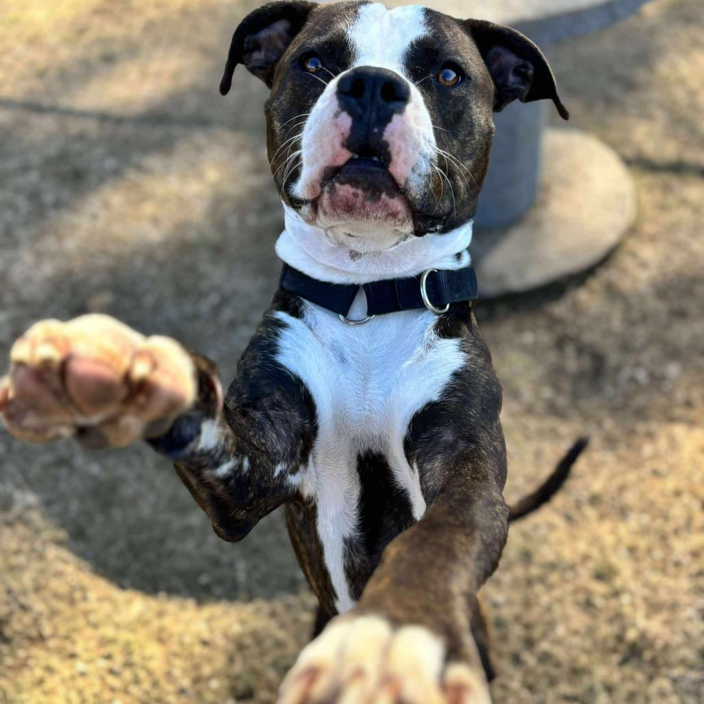 Buster