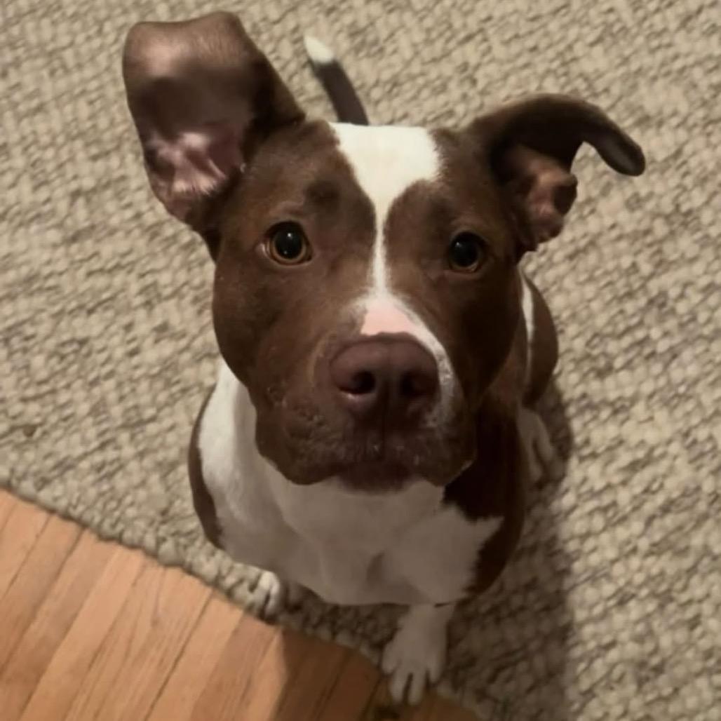 Jillian