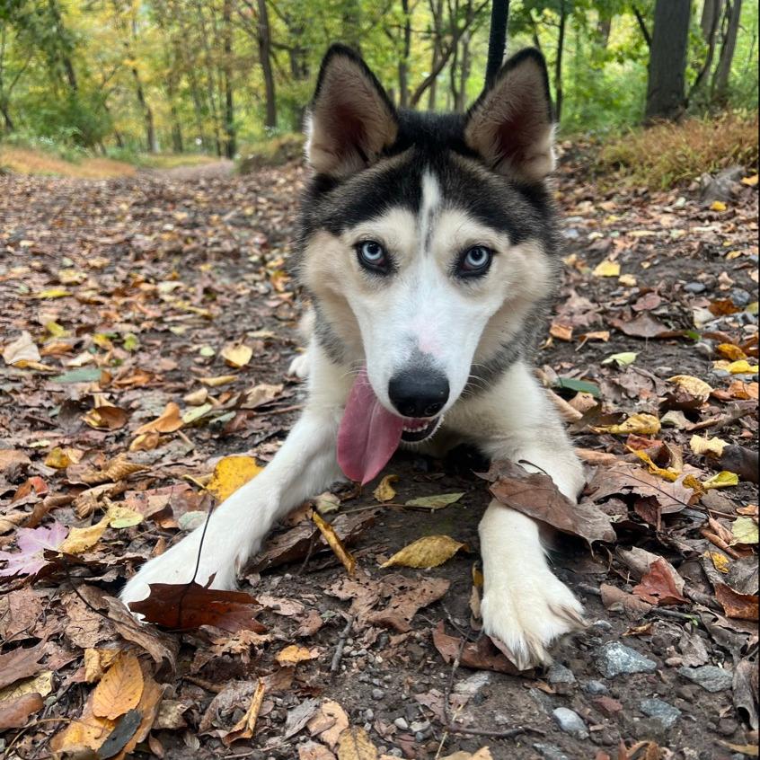 Luna
