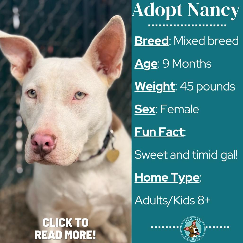Nancy