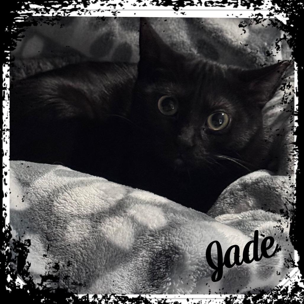 Jade