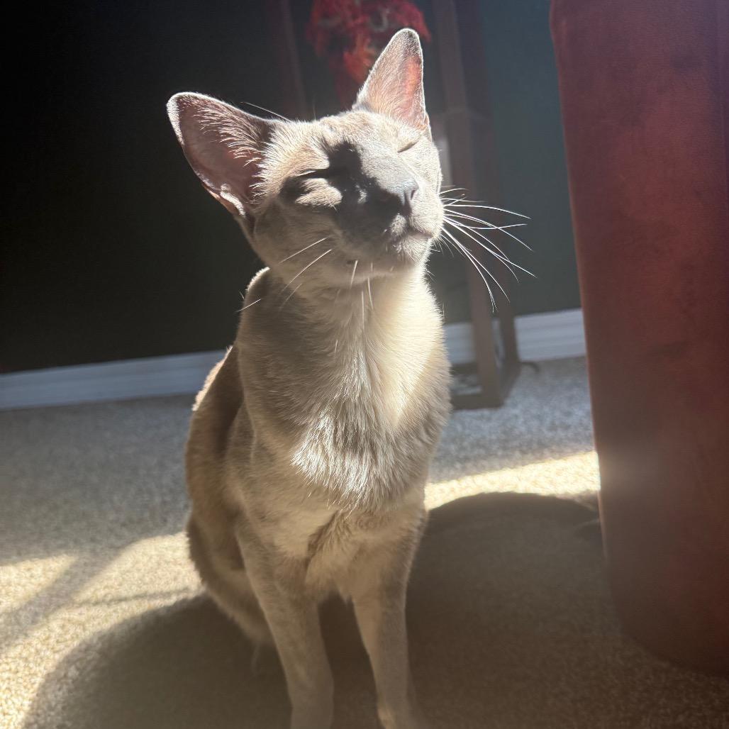 Sebastian