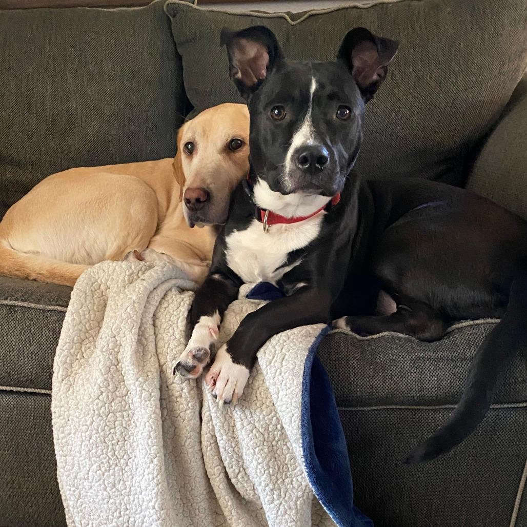 NY Kasey (Foster in Brewster)