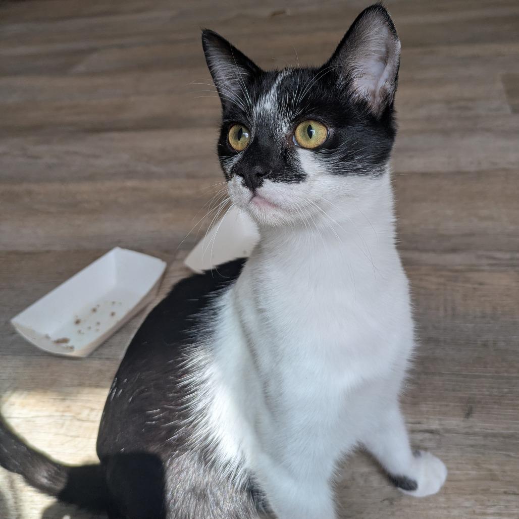 Benito