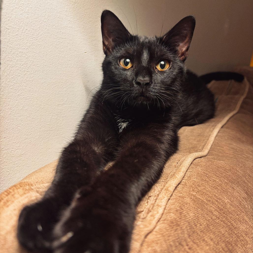 Freya