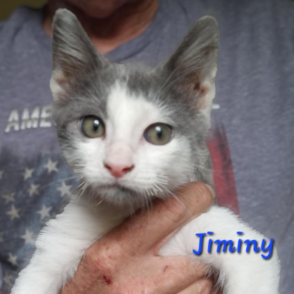 Jiminy