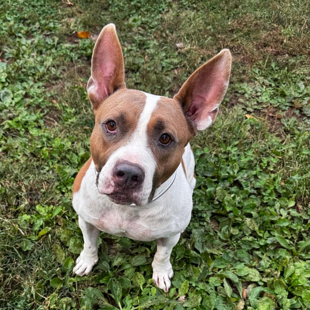 Lucy (10885)