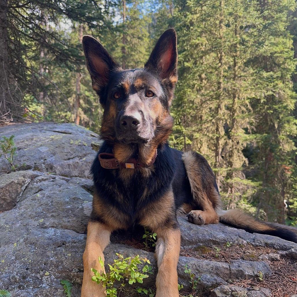 Pluto
