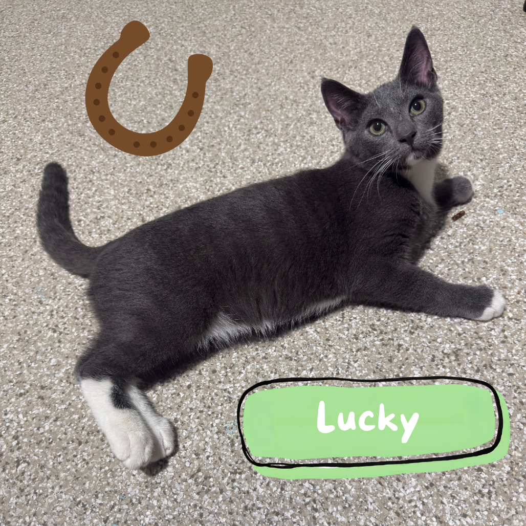 Lucky