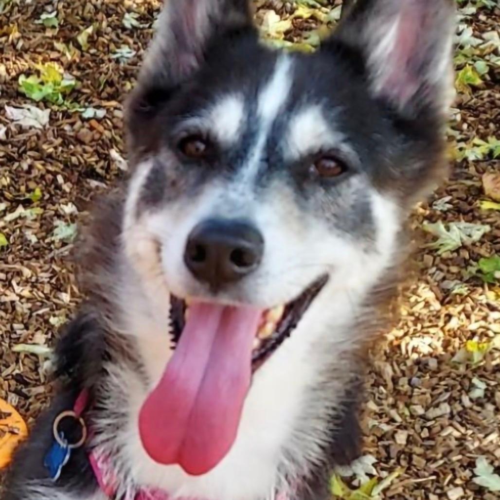 Heidi
