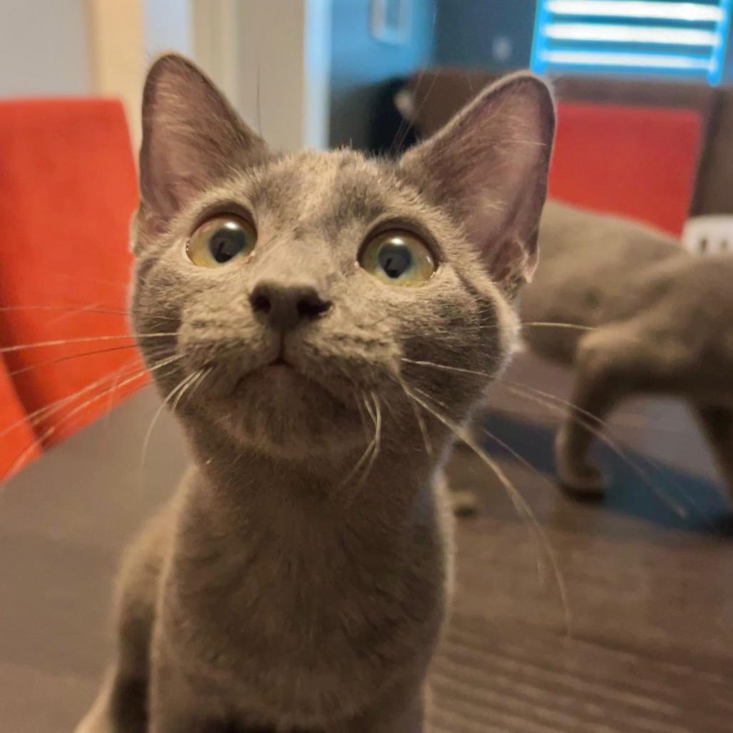 Tom