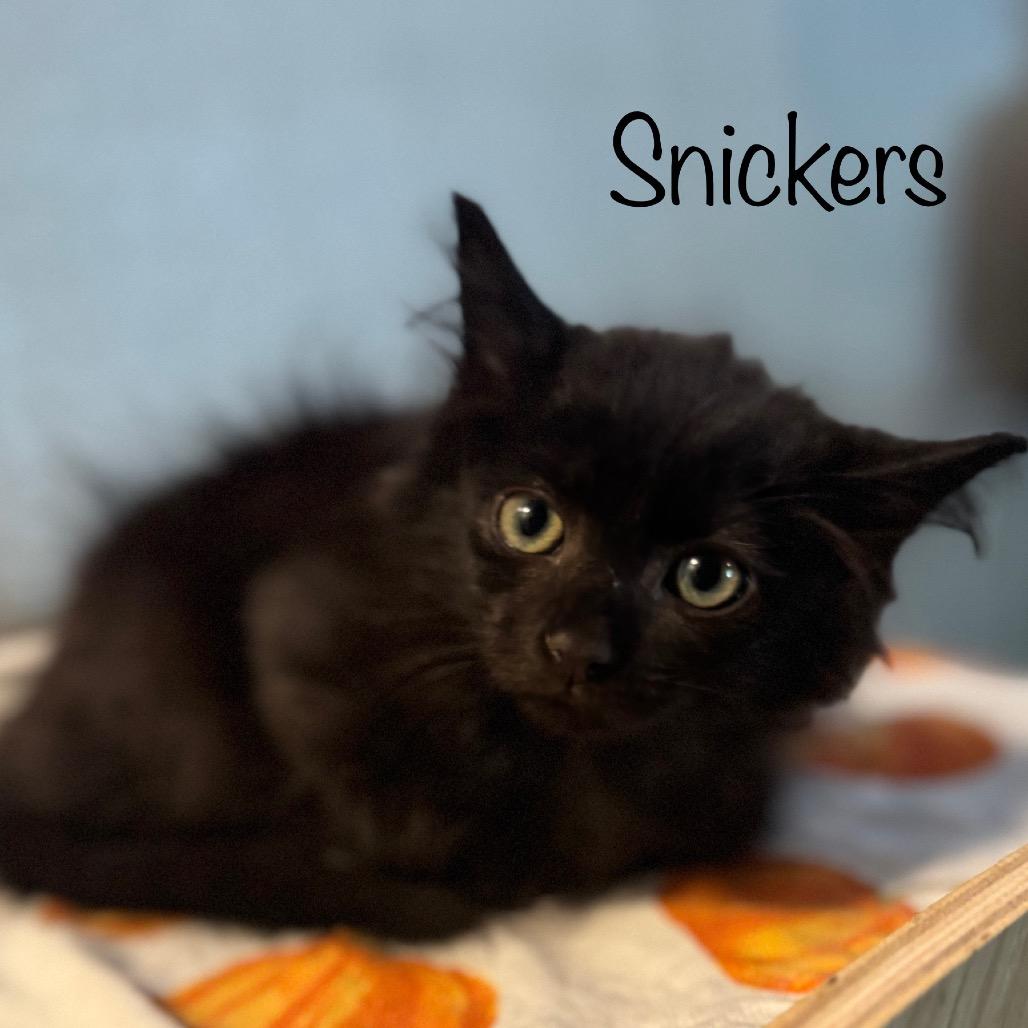 Snickers