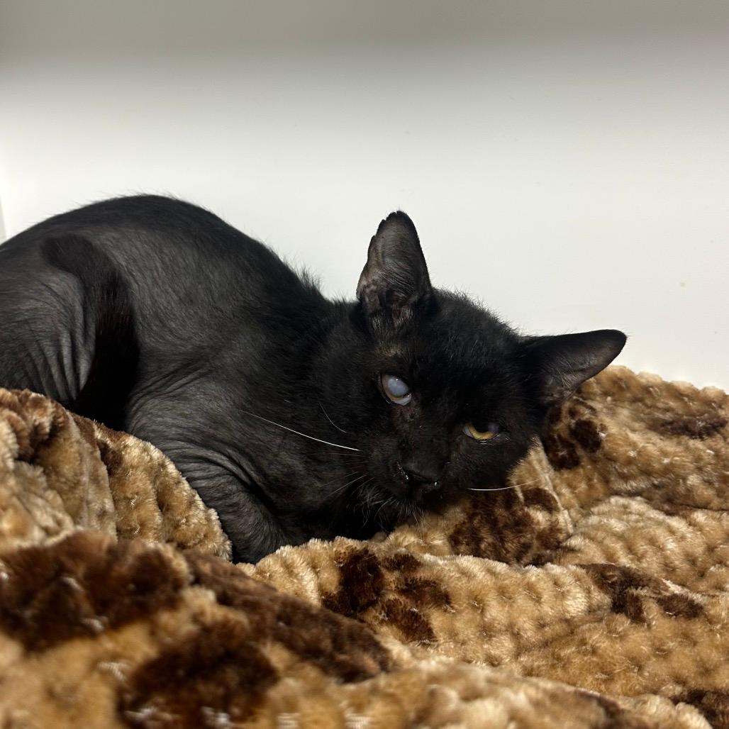 Milo