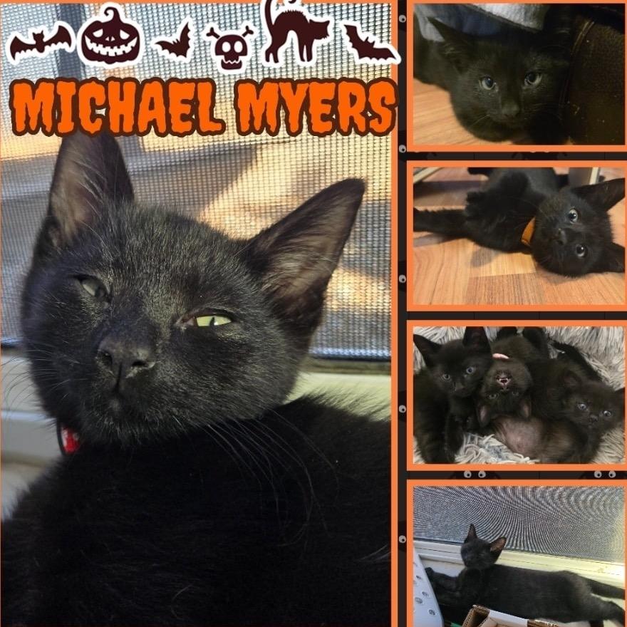 Michael Myers -FS