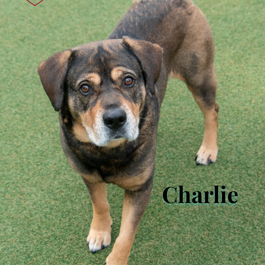 Charlie