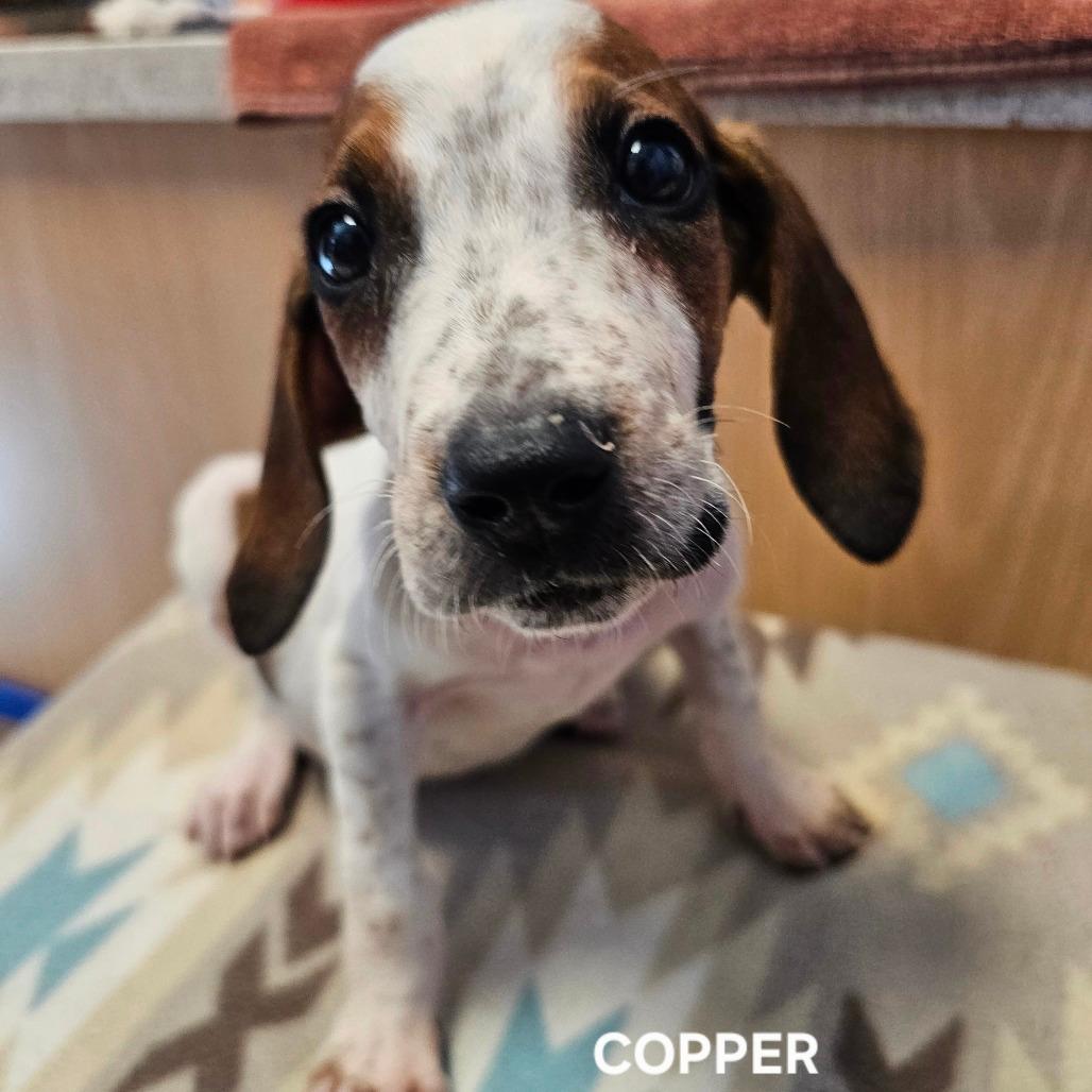 Copper