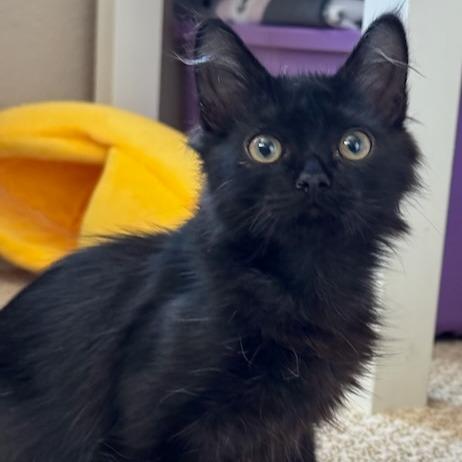 Jack
