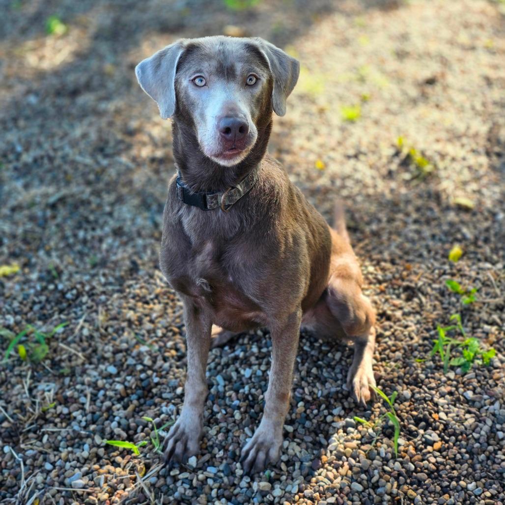 Betty Lou