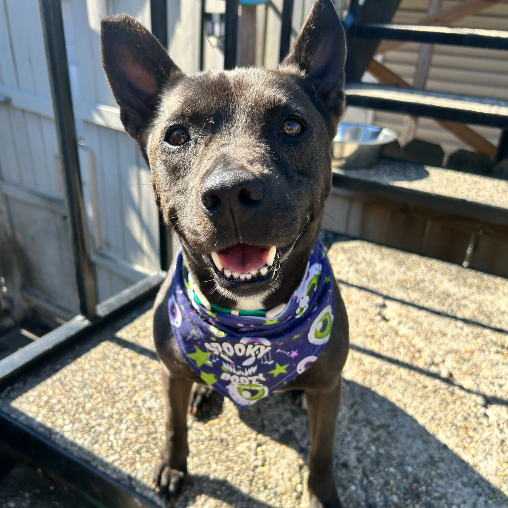 Miriam (reduced rover)