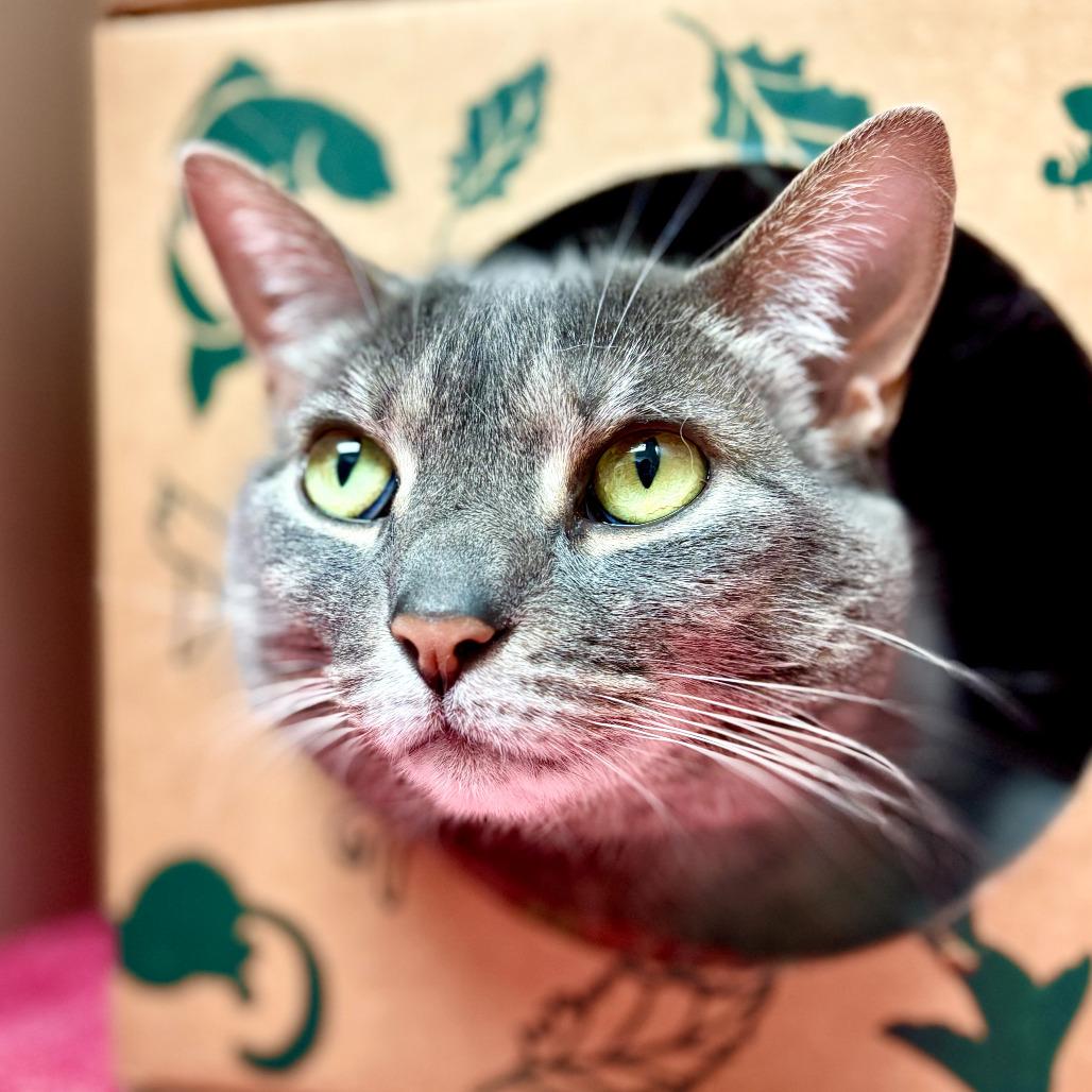Luna