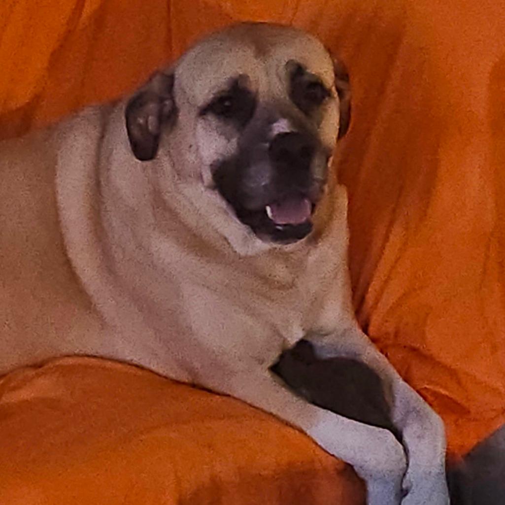 Lola