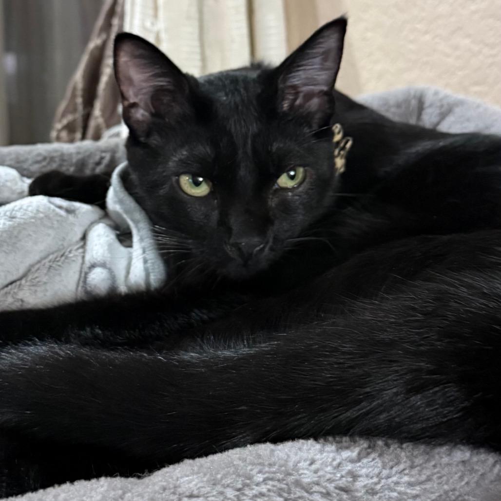 Luke (home adoption)u