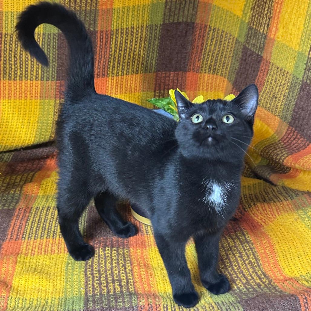 Boo!